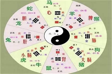 浩五行|浩字的五行属性是什么